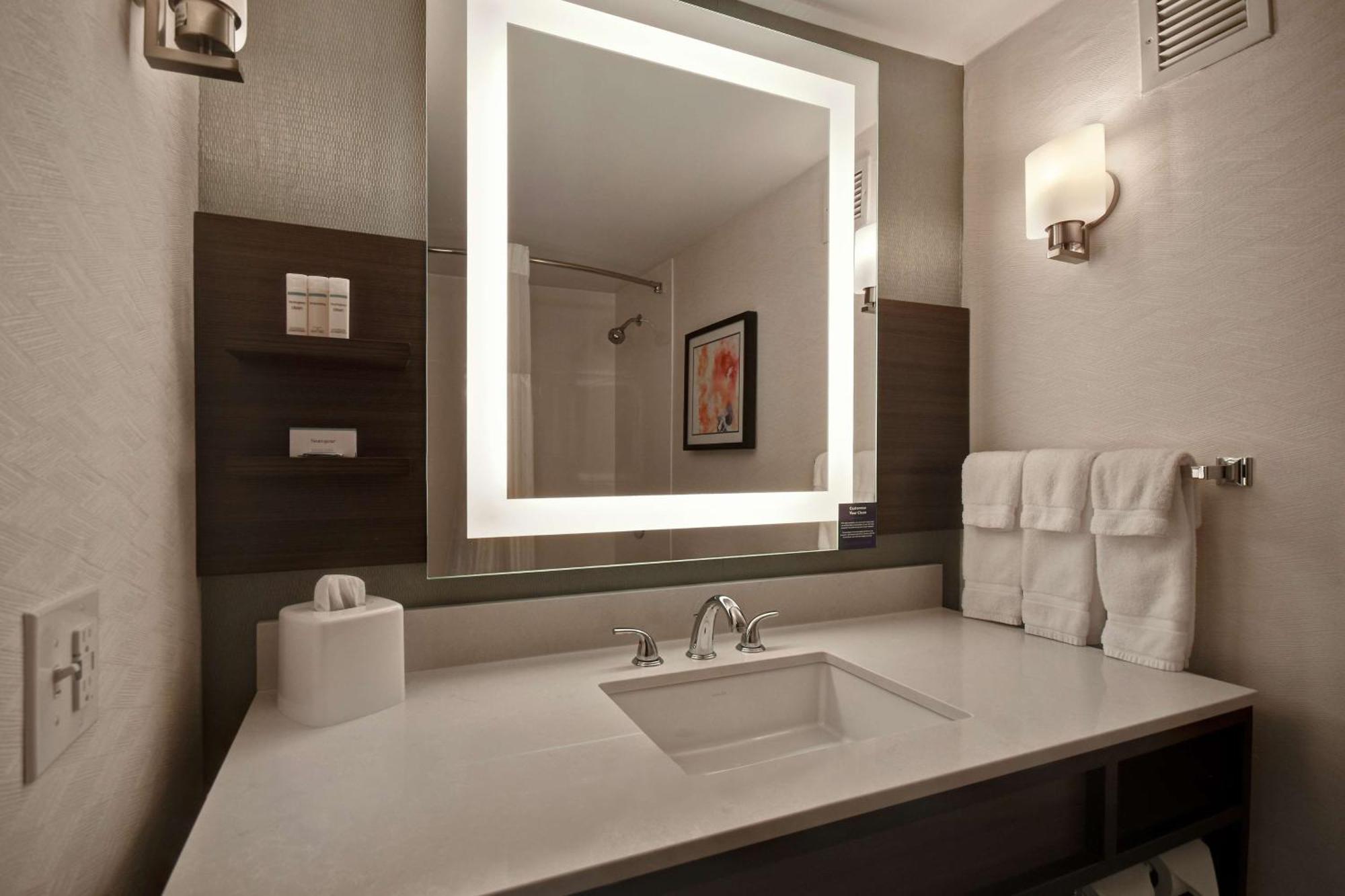 Hilton Garden Inn Detroit Metro Airport Romulus Buitenkant foto