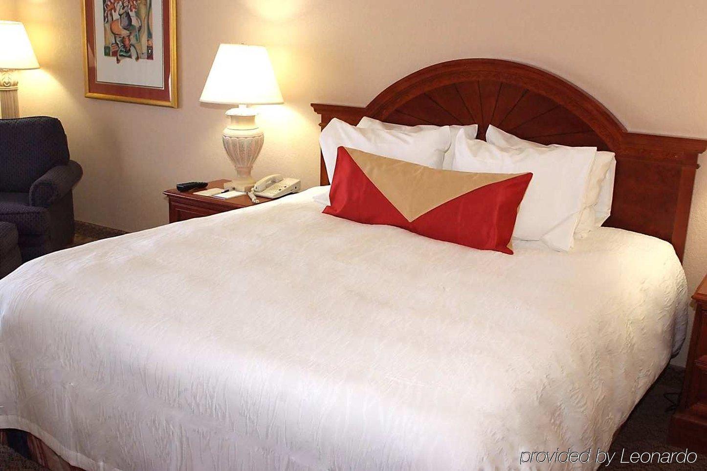 Hilton Garden Inn Detroit Metro Airport Romulus Kamer foto
